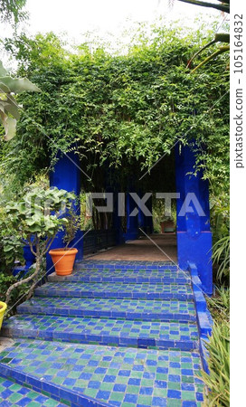 馬若雷勒花園景觀【摩洛哥馬拉喀什】 105164832