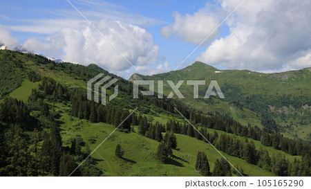 Green mountain meadows and forest in Gsteig bei Gstaad. Arnehore. Green mountain meadows and forest in Gsteig bei Gstaad. Arnehore. 105165290