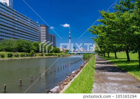 《Tokyo》Sky Tree, Fureai Bridge, Former Nakagawa Waterside Park 105165294