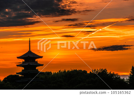 夏天的二國分寺的五層寶塔和日落 105165362
