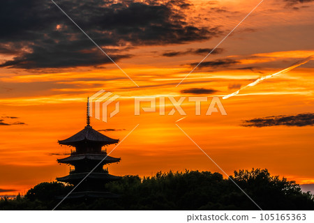 夏天的二國分寺的五層寶塔和日落 105165363