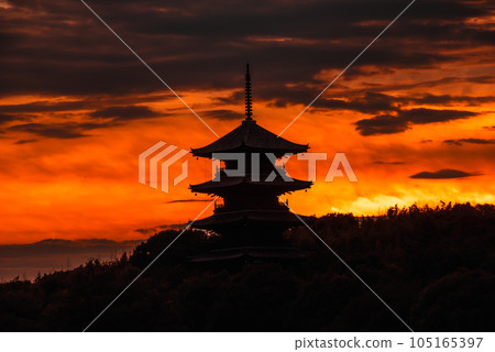 夏天的二國分寺的五層寶塔和日落 105165397