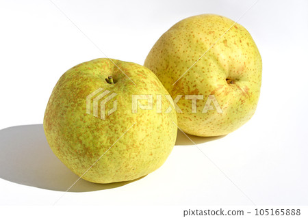 日本梨（Kahori梨） 105165888