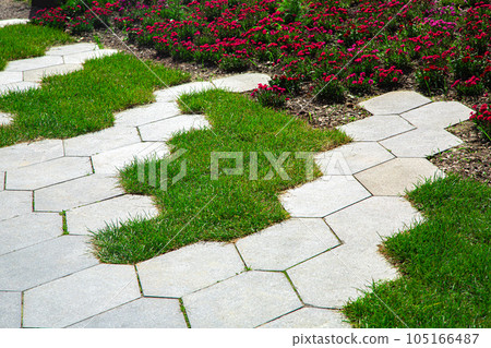 concrete tiles path with honeycomb pattern and flowerbed with red flowers lit by sunlight close-up, nobody. 105166487