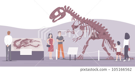Paleontological museum with dinosaur skeletons and fossils 105166562