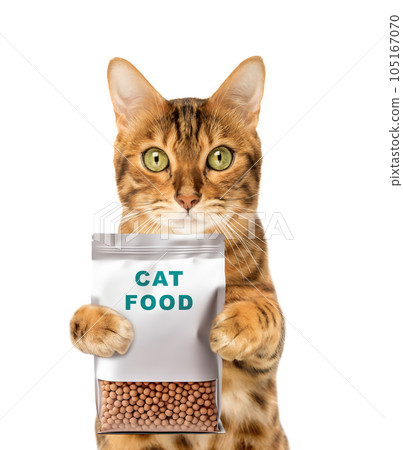 Funny cat is holding a pack of dry cat food Funny cat is holding a pack of dry cat food 105167070