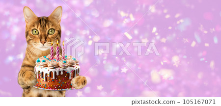 Ginger cat with a birthday cake and candles on a festive background. Ginger cat with a birthday cake and candles on a festive background. 105167071