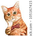 時尚的貓 105167415
