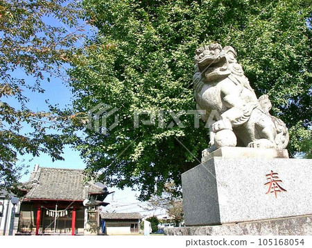 大島町標記「雷電神社/雷電神社（2010.11）」 城條的小主奴。主殿及院內樹木 105168054