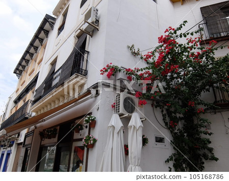 Streets of Cordoba (Cordoba/Spain) Streets of Cordoba (Cordoba/Spain) 105168786