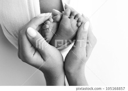 The palms of the father, the mother are holding the foot of the newborn baby on white background. Feet of the newborn on the palms of the parents. Photography of a child's toes, heels and feet. 105168857