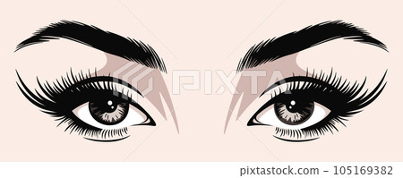 Vector Hand Drawn Woman s, Female Sexy Eyes, Perfectly Shaped Eyelashes, Eyebrows. Design Template for Business Visit Card, Logo, Advertising Mascara, Makeup, Cosmetics, Beauty Services, Salon Vector Hand Drawn Woman s, Female Sexy Eyes, Perfectly Shaped Eyelashes, Eyebrows. Design Template for Business Visit Card, Logo, Advertising Mascara, Makeup, Cosmetics, Beauty Services, Salon 105169382