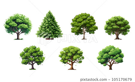 Collection cartoon Trees Isolated on White Background. Vector flat set illustration agricultural garden and nature park plant. Flat forest flora 105170679