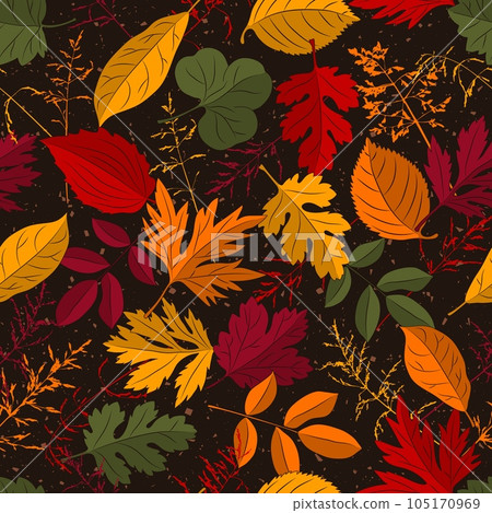 Seamless vector pattern with overlapping colorful autumn leaves, grass on dark background. 105170969