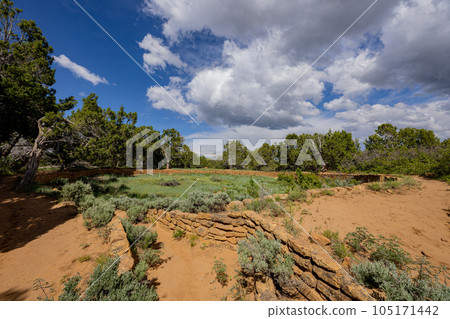 Sunny view of the historical Coyote Village in Mesa Verde National Park 105171442