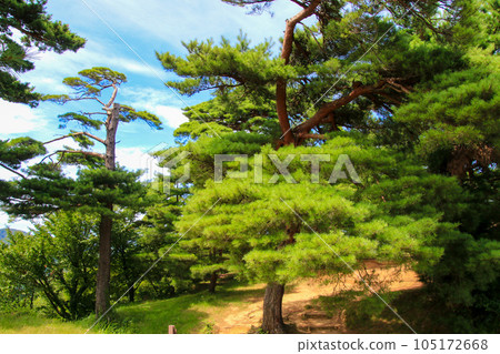 春日山城堡遺址 春日山城堡遺址 105172668