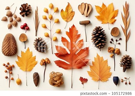 Autumn composition. Pattern made of dried leaves, flowers, berries on white background. Autumn, fall, thanksgiving day concept. Flat lay, top view 105172986