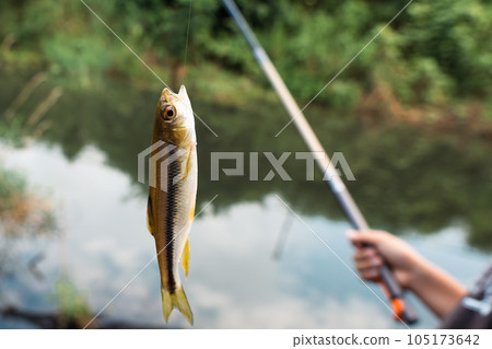 魚你捕魚 105173642