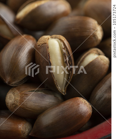 Vertebral fruit 105173724