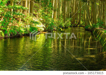 Ushiwata河 Ushiwata河 105173815