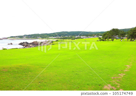 八戶市種差海灘的種差天然草坪 八戶市種差海灘的種差天然草坪 105174749