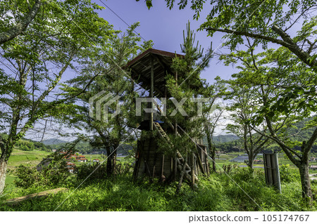 Mukunashi Castle Ruins main castle Mihara City, Hiroshima Prefecture Mukunashi Castle Ruins main castle Mihara City, Hiroshima Prefecture 105174767