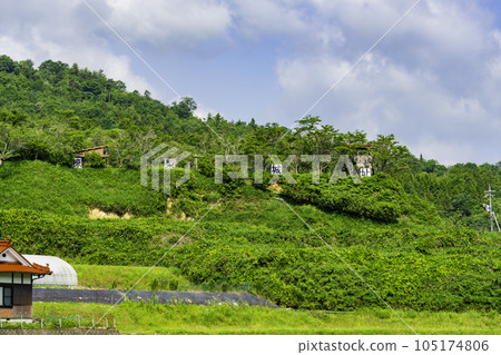 Mukunashi Castle Ruins General View Mihara City, Hiroshima Prefecture 105174806