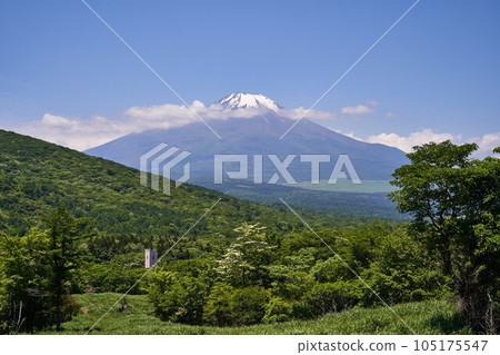 Yamanashi Prefecture Mount Fuji from Yamanashi Prefectural Route 730 105175547