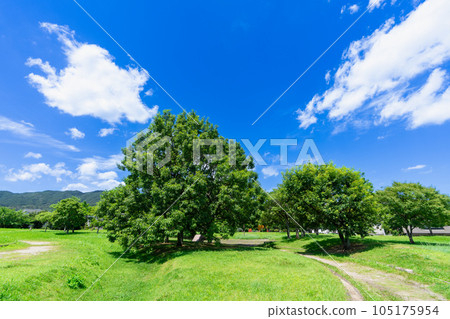 《Fukuoka Prefecture》National Historic Site Nogata Ruins 《Fukuoka Prefecture》National Historic Site Nogata Ruins 105175954