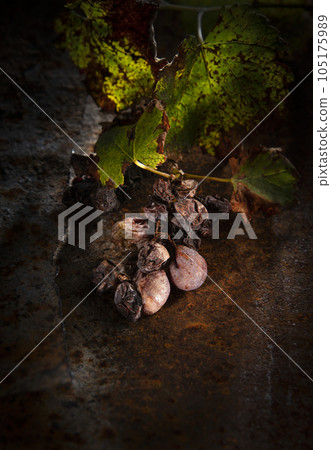 Grape Grape 105175989