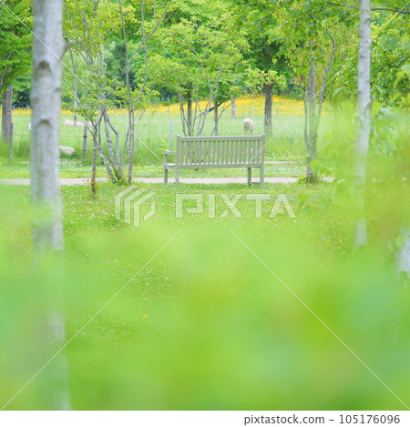 Ecorin村長椅風景 105176096