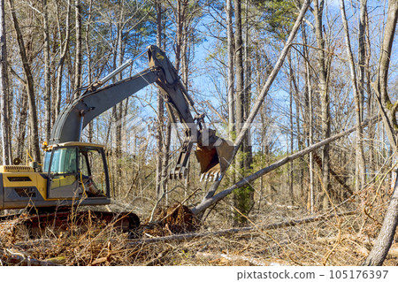 Worker removing trees from forests, preparing ground for building house, using an excavator Worker removing trees from forests, preparing ground for building house, using an excavator 105176397
