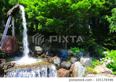 [Osaka Prefecture] Bentendo (artificial waterfall) at Katsuoji Temple in sunny weather 105176496