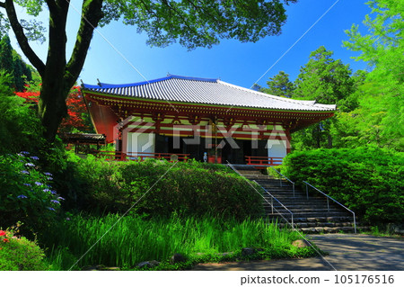 [大阪府] 晴天的寬濟寺大雄寶殿 105176516