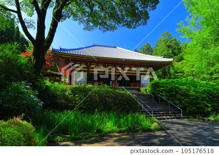 [大阪府] 晴天的寬濟寺大雄寶殿 105176518