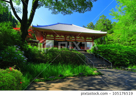 [Osaka Prefecture] The main hall of Kuan-ji Temple in sunny weather 105176519