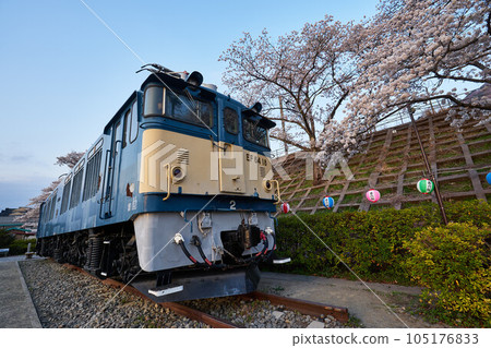 Cherry blossom and electric locomotive at Katsunuma Grape Town Station, Yamanashi Prefecture 105176833