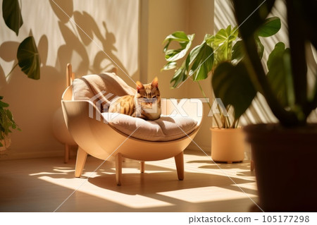 Cat taking a nap on a chair AI-generated image AI image 105177298