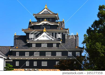[Okayama Prefecture] Okayama Castle in sunny weather (after major renovation in Reiwa) 105177359