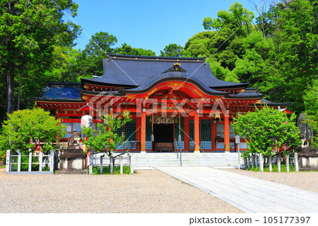 [京都府] 長岡天滿宮神社晴朗的天氣 105177397