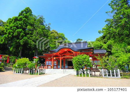 [京都府] 長岡天滿宮神社晴朗的天氣 105177401