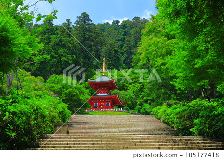 [Osaka Prefecture] Tahoto pagoda at Katsuo-ji Temple in fine weather 105177418