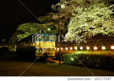 Night cherry blossoms and EF64 in Jinrokuzakura Park, Katsunuma City, Yamanashi Prefecture 105177567