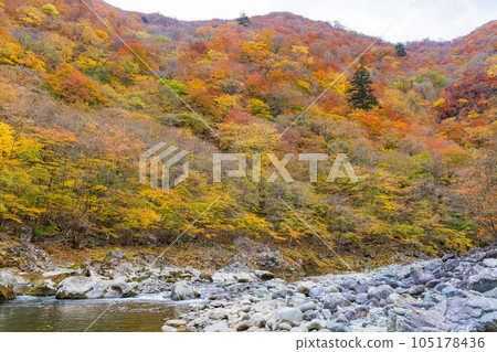 栃木日光市 日光國立公園 龍王峽 秋葉 栃木日光市 日光國立公園 龍王峽 秋葉 105178436