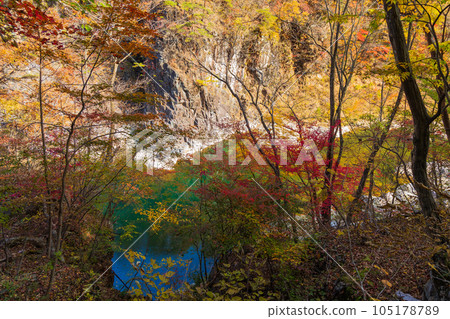 栃木日光市 日光國立公園 龍王峽 秋葉 栃木日光市 日光國立公園 龍王峽 秋葉 105178789
