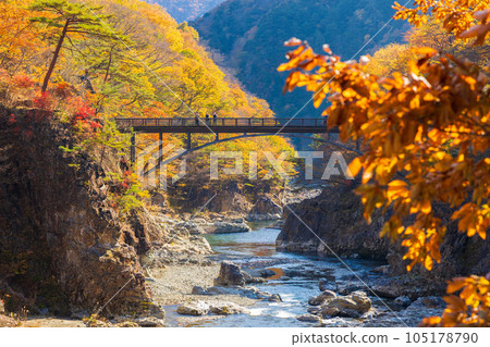 Tochigi Nikko City Nikko National Park Ryuokyo Gorge with autumn leaves Tochigi Nikko City Nikko National Park Ryuokyo Gorge with autumn leaves 105178790