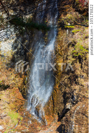Tochigi Nikko City Nikko National Park Ryuokyo Gorge with autumn leaves Tochigi Nikko City Nikko National Park Ryuokyo Gorge with autumn leaves 105178822