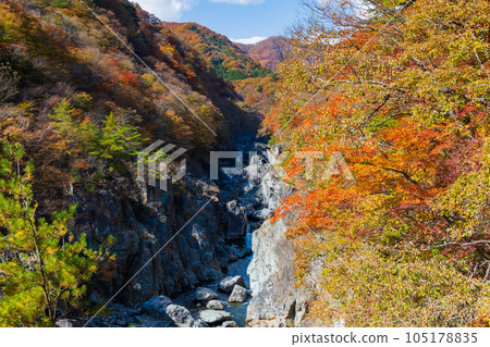 栃木日光市 日光國立公園 龍王峽 秋葉 105178835