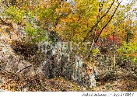 Tochigi Nikko City Nikko National Park Ryuokyo Gorge with autumn leaves Tochigi Nikko City Nikko National Park Ryuokyo Gorge with autumn leaves 105178847