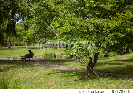 Summer in Nakajima Park, Sapporo_0261 105178896